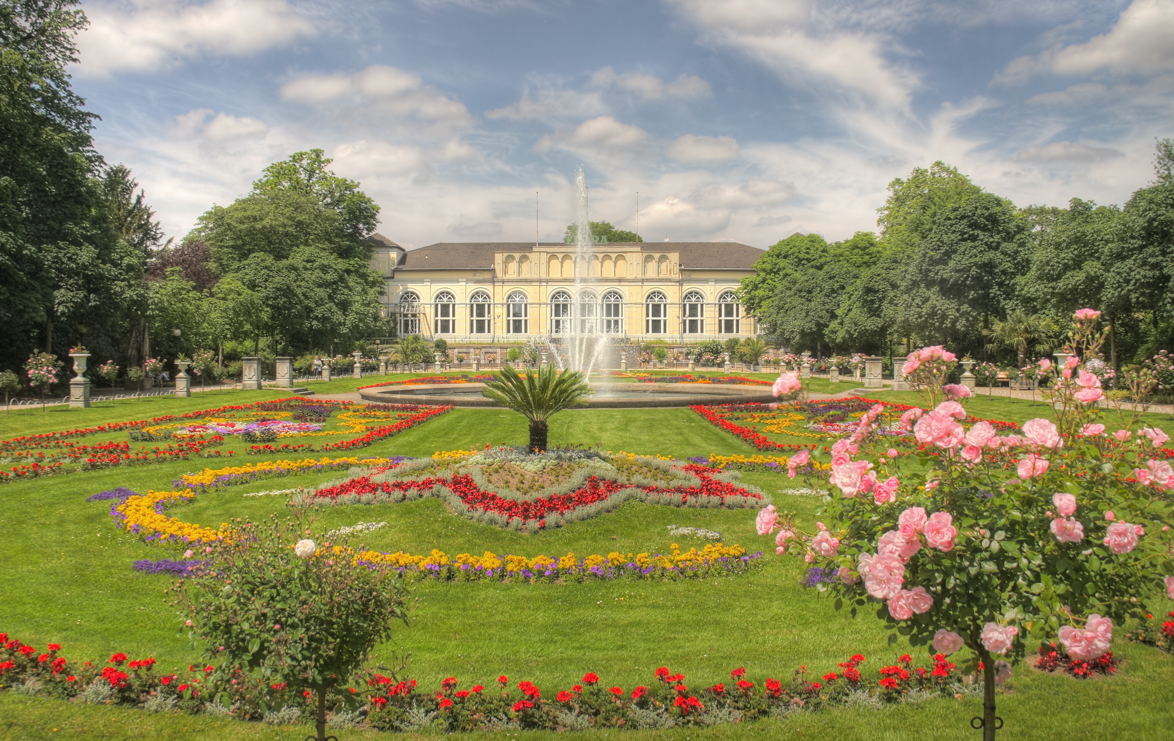 Familienführung Flora: Die geheimen Superkräfte der Pflanzen