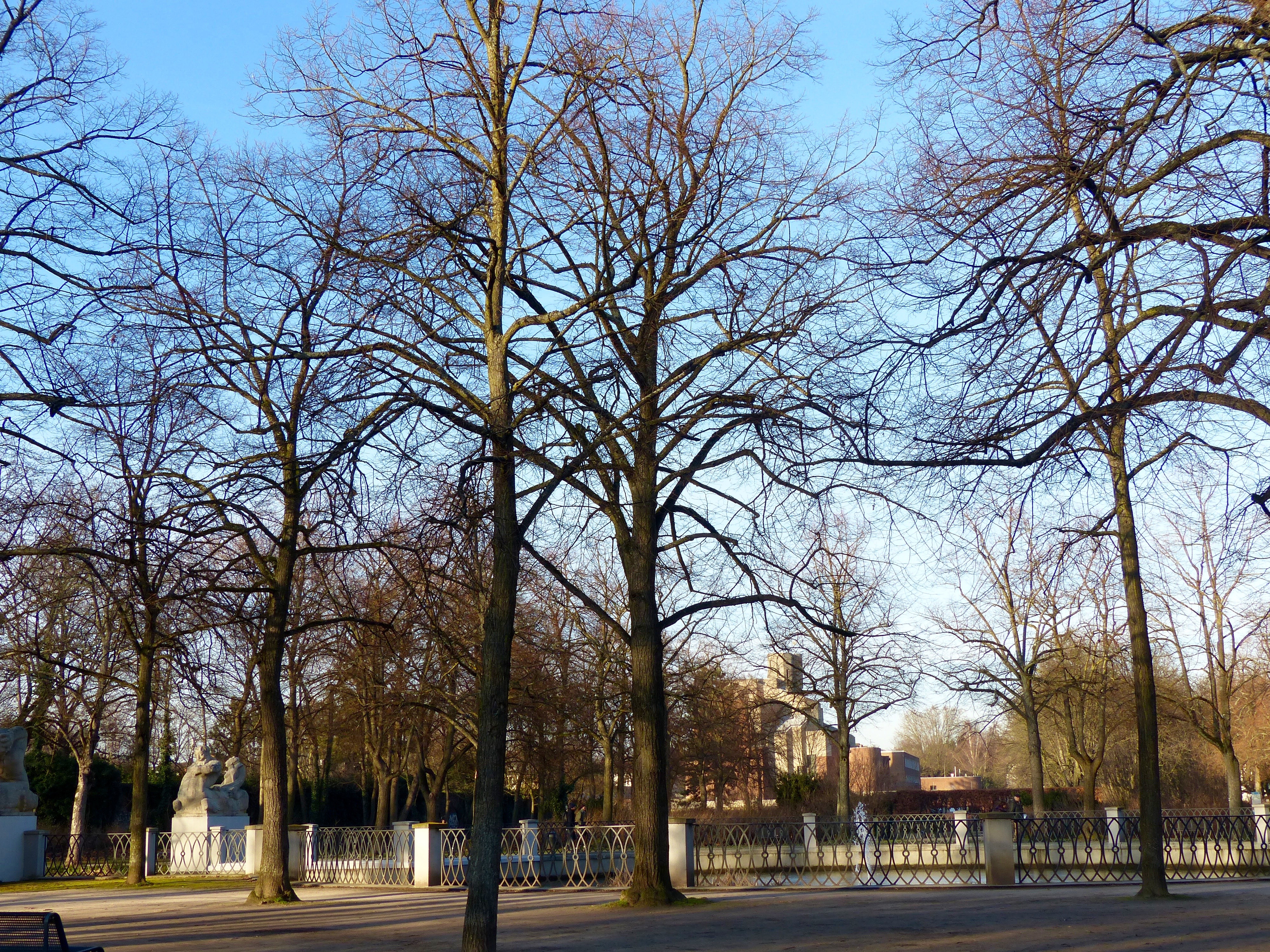 Lindenthaler Familien- und Veedelsfest — Karussell, Kinder-Spieleland und Veedel-Stimmung