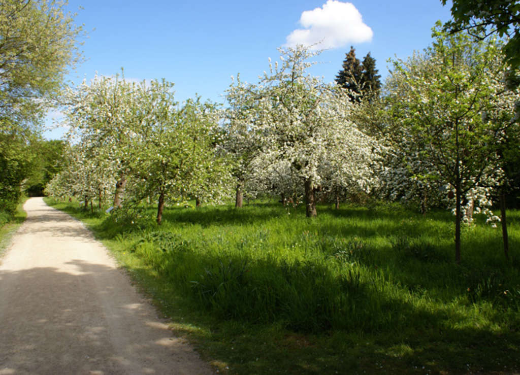 Tag der offenen Tür im Bienenhaus — Finkens Garten